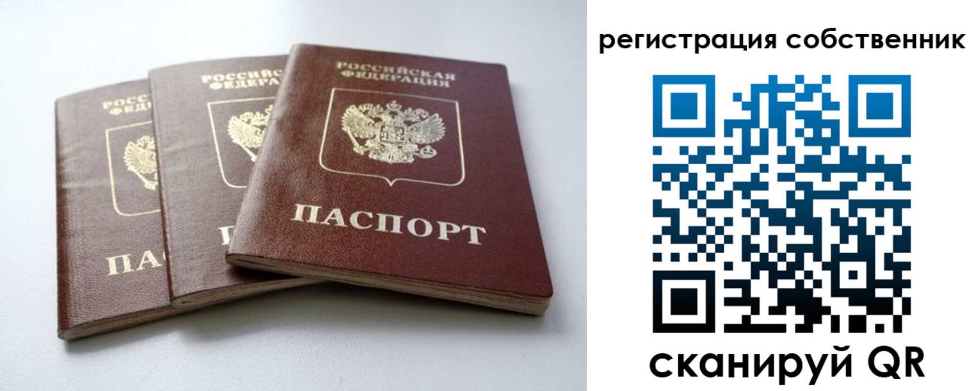 прописка для школы в Галиче